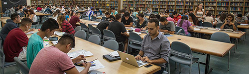 foto biblioteca